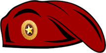 Краповый берет (рисунок).png