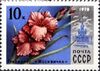 Почтовая марка СССР № 4829. 1978. Цветы Москвы.jpg