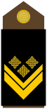 Army-HRV-OR-09.svg