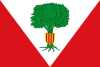 Флаг