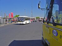 Cacilhas - Autocarros TST.jpg