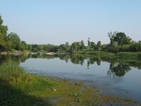 Kaveri at Shrirangapatnam.JPG