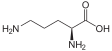 L-Ornithin2.svg