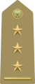 Rank insignia of primo capitano of the Army of Italy (1973).svg