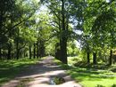 TsarskoeSelo2012 4852.jpg