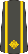 12-Serbian Army-MAJ.svg