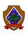 3rdAAVinsignia.jpg