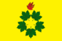 Flag of Klenovskoe (Volgograd oblast).png