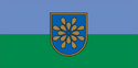 Флаг Салдусского края