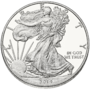 Liberty $1 Obverse.png