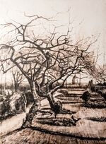 Parsonage Garden - My Dream.jpg