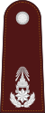 RTP OF-6 (Police Brigadier).svg