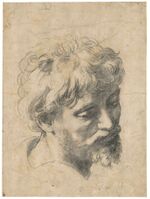 Raphael - head of an apostle (Chatsworth no. 67).jpg