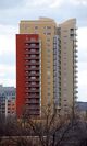 TheShore-Feb2009.JPG