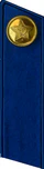 Петлицы к шинелям офицеров внутренних войск НКВД СССР и госбезопасности обр. 1943 г.