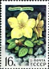 Почтовая марка СССР № 4700. 1977. Цветы гор Сибири.jpg