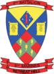 2 5 battalion insignia.png
