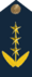 AvCoronel.png
