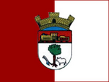 Флаг