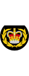 British Royal Marines OR-8.svg