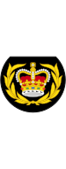 British Royal Marines OR-8.svg