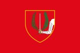 Флаг