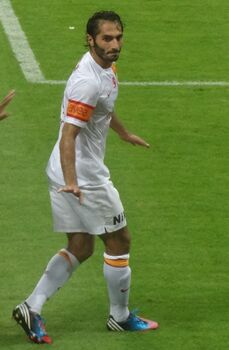 Hamit Altıntop Fiorentina.JPG