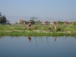 Inle-Floating-Farm.JPG