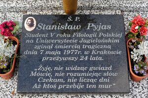 Pyjas plyta.JPG