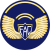 Tecnico tercero fuerza aerea.svg