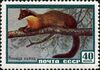 The Soviet Union 1959 CPA 2328 stamp (Yellow-Throated Marten).jpg
