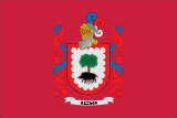 Флаг