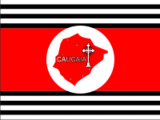 Флаг[d]