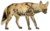 Dogs, jackals, wolves, and foxes (Plate XLIV).png