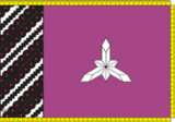 Флаг[d]