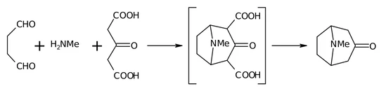 Robinson tropinone synthesis.png