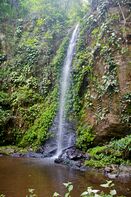 Small Waterfall at Kyabobo National Park.jpg