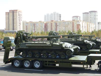 Тюльпан (2).jpg