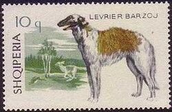 Borzoi Albania stamp.jpg