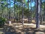 FL Faver-Dykes SP04.jpg
