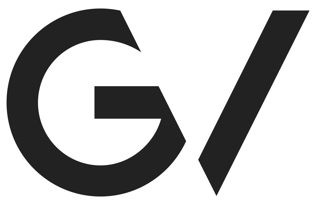 GV (компания): история, деятельность, чем известна — РУВИКИ