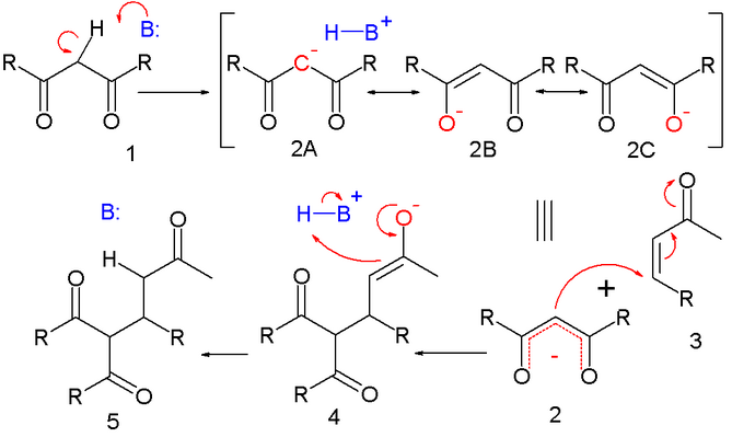 Michael Reaction Mechanism.png