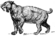 Saber Toothed Tiger (PSF).png