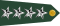 US Army O10 shoulderboard rotated.svg