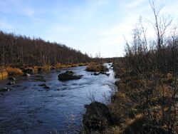 Namajogi (ven.: Намайоки)
