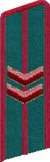 петлица 1936