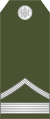 08-Montenegro Army-WO.svg