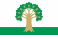 Flag of Arkhangelsky rayon.svg
