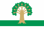 Flag of Arkhangelsky rayon.svg