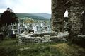 RoundTowerSt. Mullins.jpg